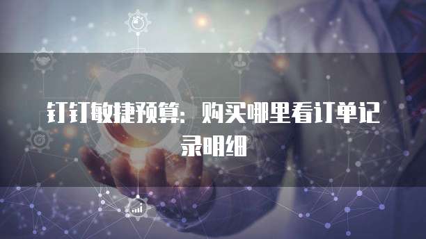 钉钉敏捷预算:购买哪里看订单记录明细