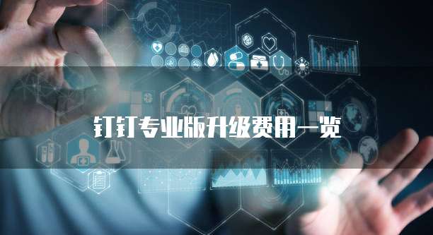钉钉专业版升级费用一览
