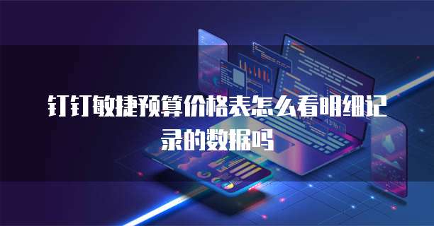 钉钉敏捷预算价格表怎么看明细记录的数据吗
