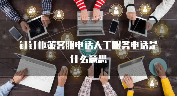 钉钉枢策客服电话人工服务电话是什么意思