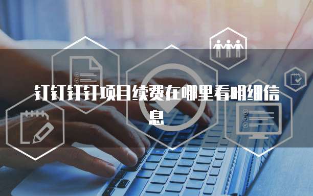 钉钉钉钉项目续费在哪里看明细信息