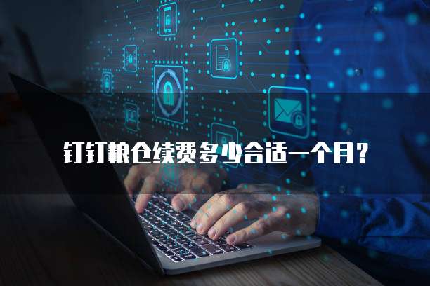 钉钉粮仓续费多少合适一个月?