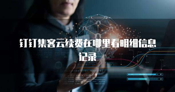 钉钉集客云续费在哪里看明细信息记录