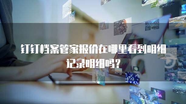 钉钉档案管家报价在哪里看到明细记录明细吗？