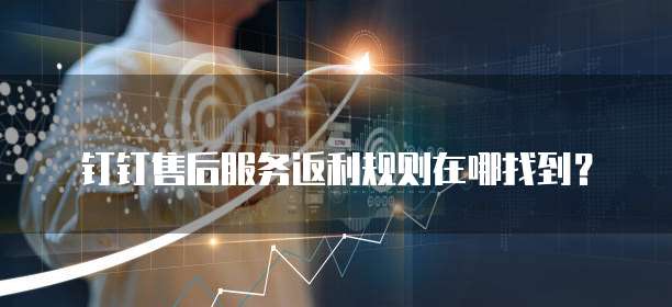 钉钉售后服务返利规则在哪找到?