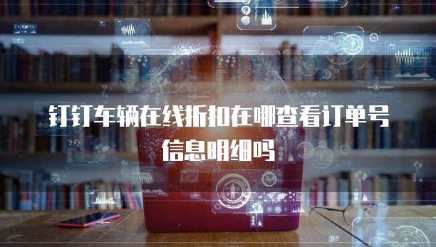 钉钉车辆在线折扣在哪查看订单号信息明细吗