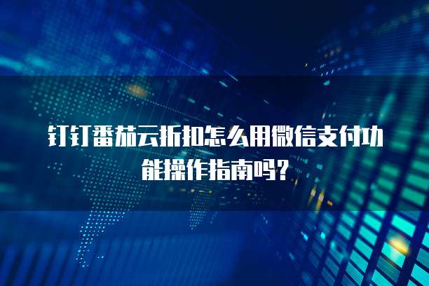 钉钉番茄云折扣怎么用微信支付功能操作指南吗?