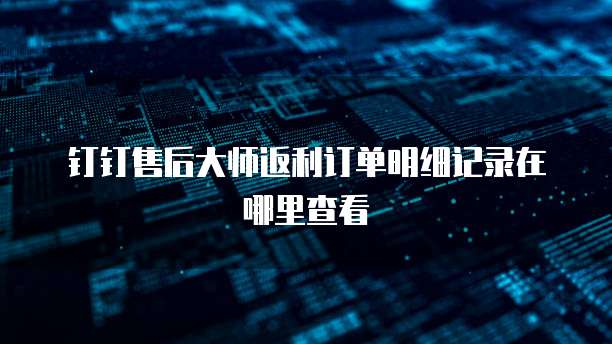 钉钉售后大师返利订单明细记录在哪里查看
