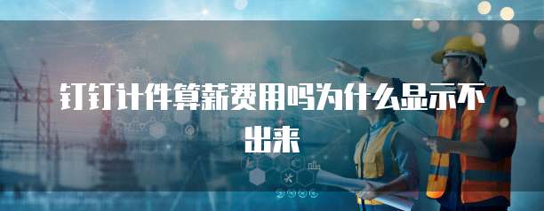 钉钉计件算薪费用吗为什么显示不出来