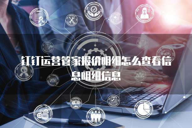 钉钉运营管家报价明细怎么查看信息明细信息