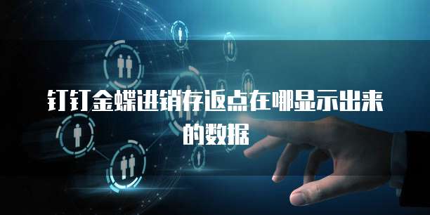 钉钉金蝶进销存返点在哪显示出来的数据