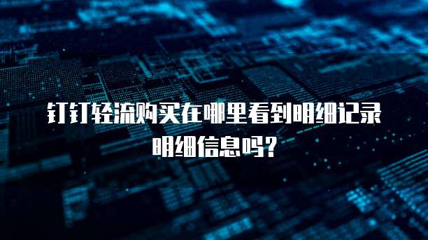钉钉轻流购买在哪里看到明细记录明细信息吗?