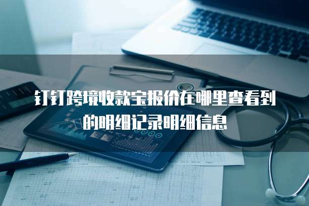 钉钉跨境收款宝报价在哪里查看到的明细记录明细信息