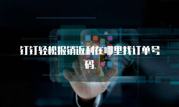 钉钉轻松报销返利在哪里找订单号码