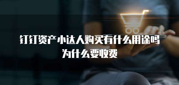 钉钉资产小达人购买有什么用途吗为什么要收费