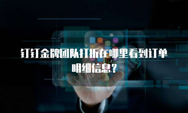 钉钉金牌团队打折在哪里看到订单明细信息?