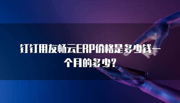 钉钉用友畅云ERP价格是多少钱一个月的多少?