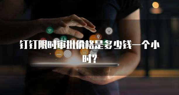 钉钉限时审批价格是多少钱一个小时?
