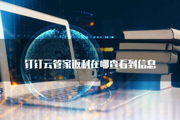 钉钉云管家返利在哪查看到信息