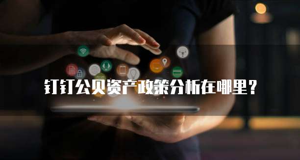 钉钉公贝资产政策分析在哪里?