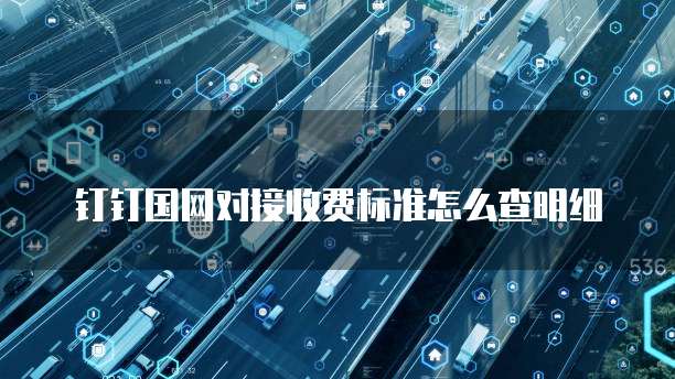 钉钉国网对接收费标准怎么查明细