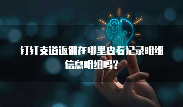 钉钉支道返佣在哪里查看记录明细信息明细吗?