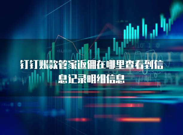 钉钉账款管家返佣在哪里查看到信息记录明细信息