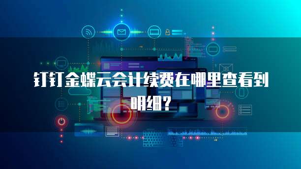 钉钉金蝶云会计续费在哪里查看到明细?