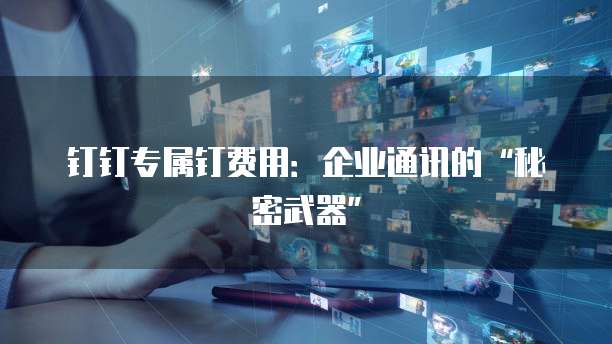 钉钉专属钉费用:企业通讯的“秘密武器”