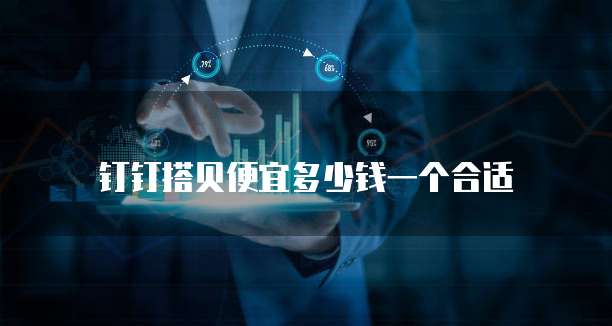 钉钉搭贝便宜多少钱一个合适