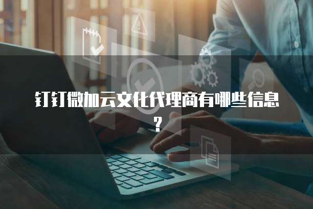 钉钉微加云文化代理商有哪些信息?