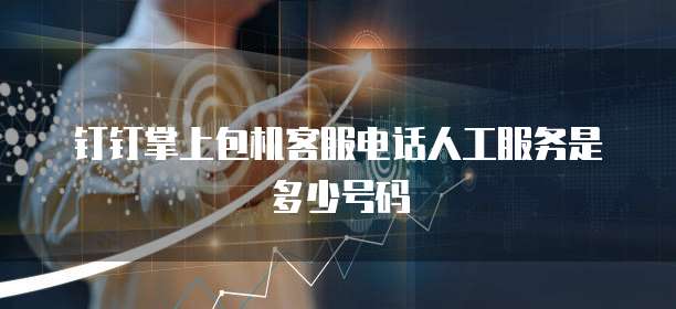 钉钉掌上包机客服电话人工服务是多少号码