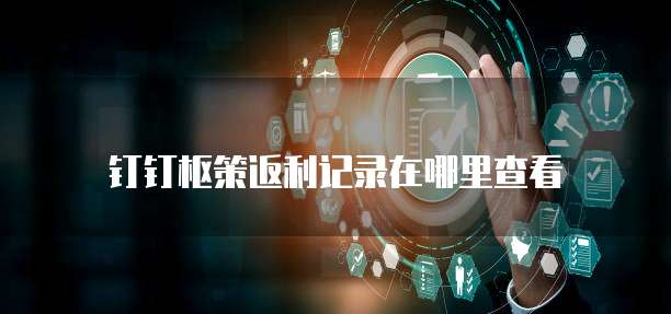 钉钉枢策返利记录在哪里查看