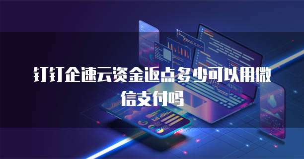钉钉企速云资金返点多少可以用微信支付吗