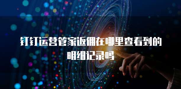 钉钉运营管家返佣在哪里查看到的明细记录吗