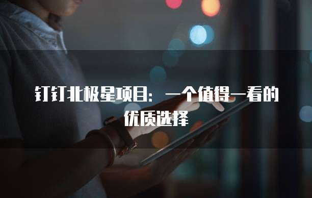 钉钉北极星项目:一个值得一看的优质选择