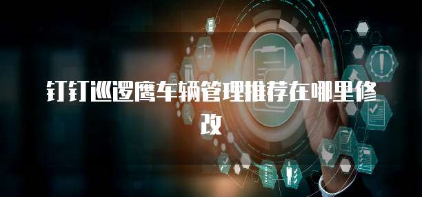 钉钉巡逻鹰车辆管理推荐在哪里修改