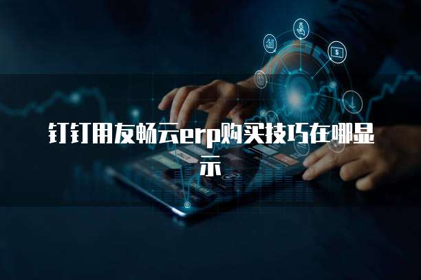 钉钉用友畅云erp购买技巧在哪显示