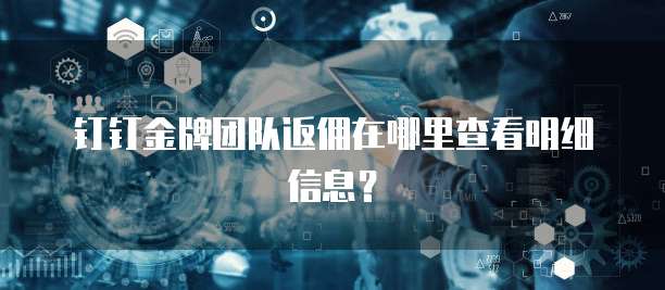 钉钉金牌团队返佣在哪里查看明细信息?
