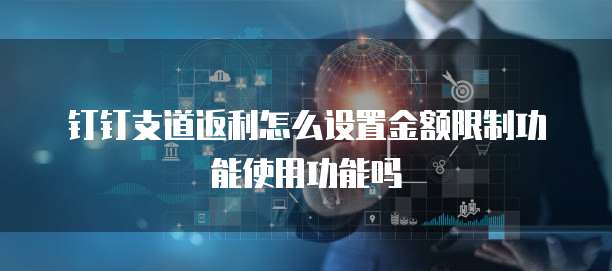 钉钉支道返利怎么设置金额限制功能使用功能吗