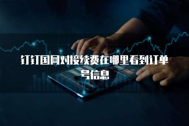 钉钉国网对接续费在哪里看到订单号信息