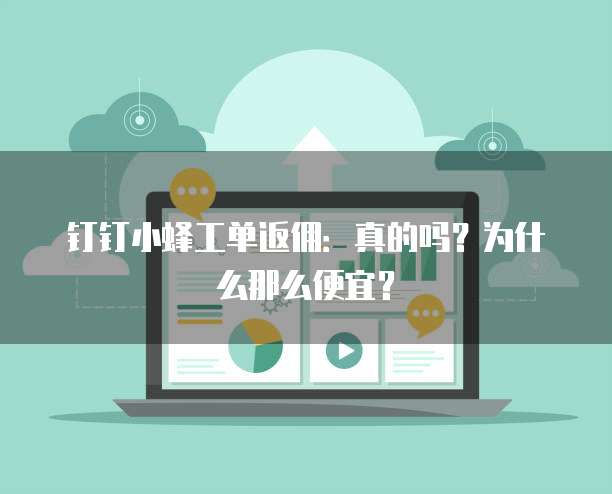 钉钉小蜂工单返佣:真的吗?为什么那么便宜?