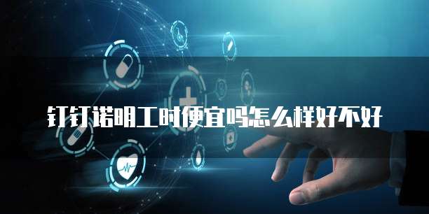 钉钉诺明工时便宜吗怎么样好不好