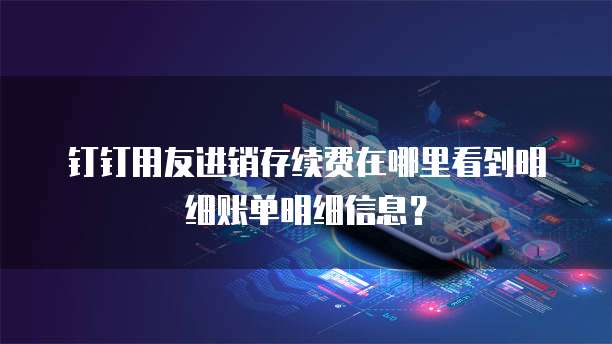钉钉用友进销存续费在哪里看到明细账单明细信息?