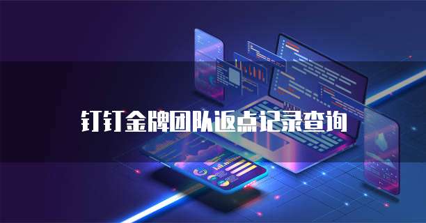 钉钉金牌团队返点记录查询