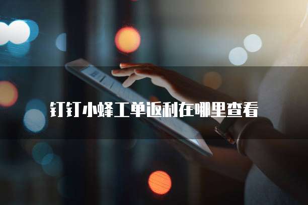 钉钉小蜂工单返利在哪里查看