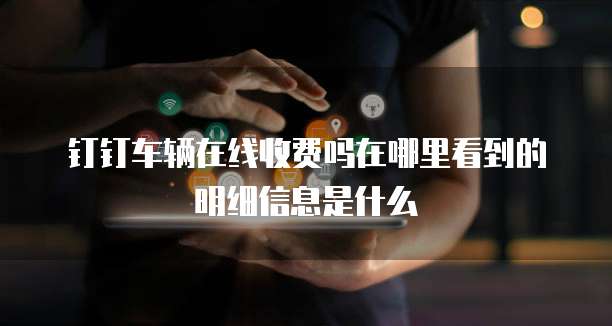 钉钉车辆在线收费吗在哪里看到的明细信息是什么