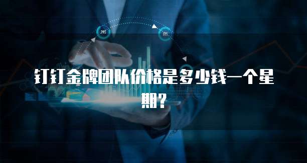 钉钉金牌团队价格是多少钱一个星期?