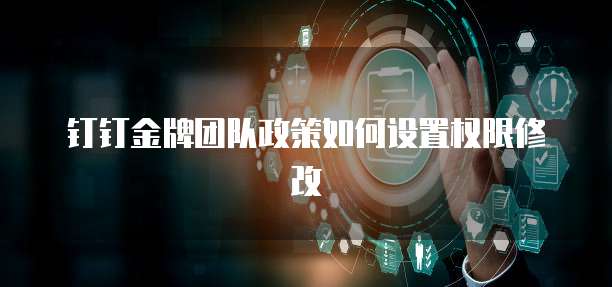 钉钉金牌团队政策如何设置权限修改