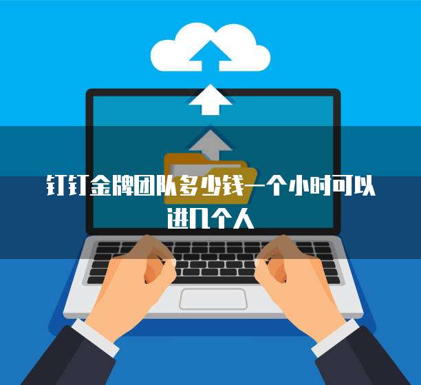 钉钉金牌团队多少钱一个小时可以进几个人